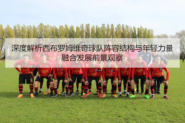 深度解析西布罗姆维奇球队阵容结构与年轻力量融合发展前景观察